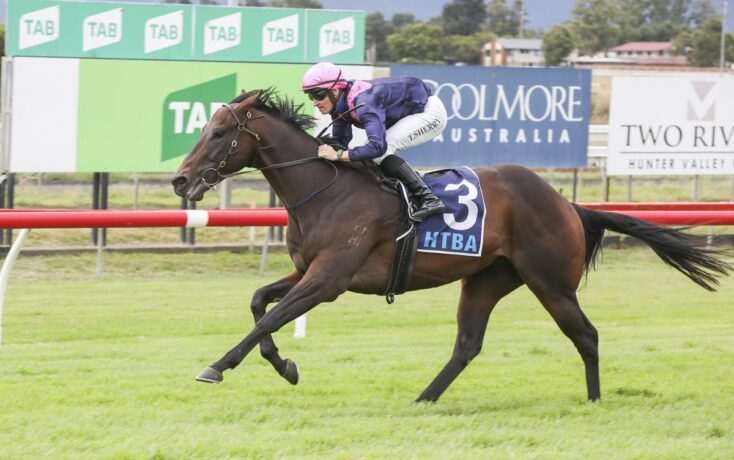A jockey in pink cap riding a dark horse number 3 during a race on a green grass track with sponsor signs in the background.