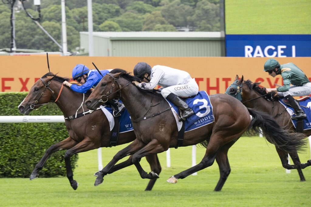 2278571.jpg | Just Horse Racing