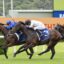 2278571.jpg | Just Horse Racing