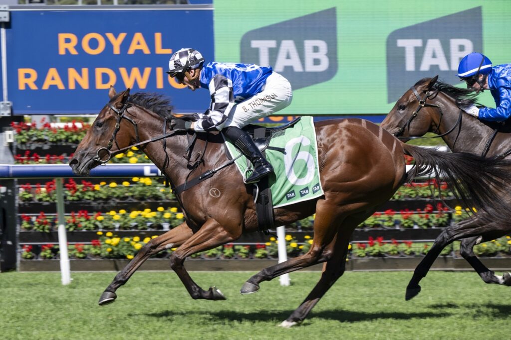 2283261.jpg | Just Horse Racing