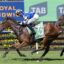 2283261.jpg | Just Horse Racing