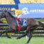 2283628.jpg | Just Horse Racing