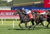 Dark gray racehorse leading a pack during a daytime horse race on a green turf track, jockey in blue checkered silks leaning forward to urge the horse on