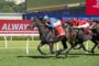 Dark gray racehorse leading a pack during a daytime horse race on a green turf track, jockey in blue checkered silks leaning forward to urge the horse on