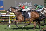 Two jockeys urge their horses on a grassy track, with the leading brown horse wearing a black saddlecloth and a prominent myplates logo in the background.