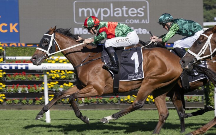 Two jockeys urge their horses on a grassy track, with the leading brown horse wearing a black saddlecloth and a prominent myplates logo in the background.