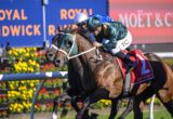 Jockey in green silks riding a brown horse at a race, white rail in foreground and colorful sponsor boards in background