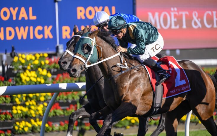 Jockey in green silks riding a brown horse at a race, white rail in foreground and colorful sponsor boards in background