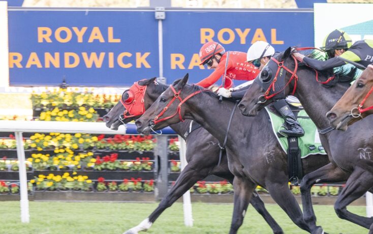 Horse race in progress with three jockeys leaning forward on galloping horses; colorful floral track backdrop and a Royal Randwick sign in the background.