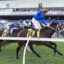 2287725.jpg | Just Horse Racing Jockey in blue silks on a dark brown horse leading a horse race on a grassy track with cheering spectators in the background.