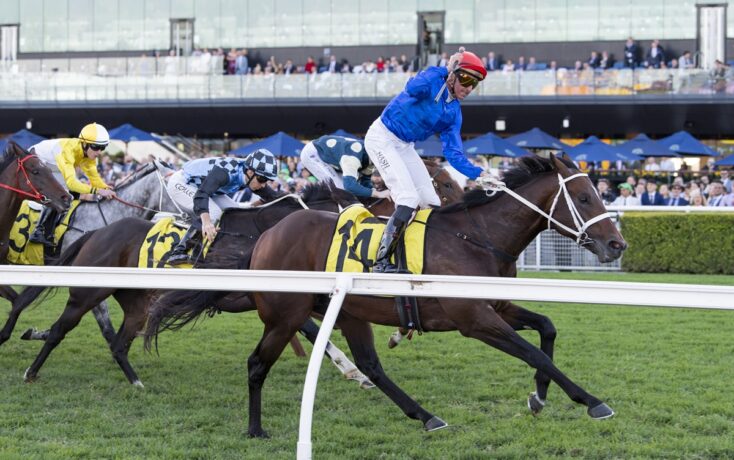 Jockey in blue silks on a dark brown horse leading a horse race on a grassy track with cheering spectators in the background.