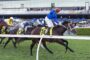 Jockey in blue silks on a dark brown horse leading a horse race on a grassy track with cheering spectators in the background.