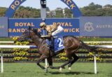 Jockey in gold silks rides a brown racehorse with blue tack on a turf track at Royal Randwick, number 2 saddle cloth visible.