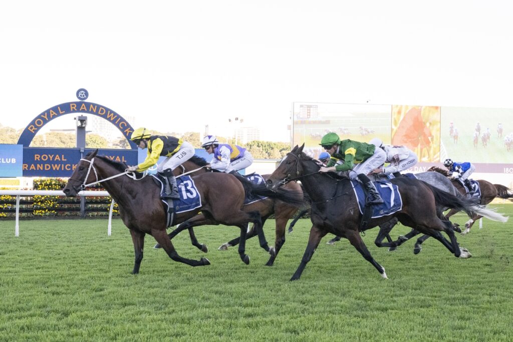 Horse race in progress at Royal Randwick stadium; jockeys in colorful silks ride fast on green turf with a blue Royal Randwick sign in the background.