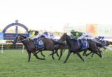 Horse race in progress at Royal Randwick stadium; jockeys in colorful silks ride fast on green turf with a blue Royal Randwick sign in the background.