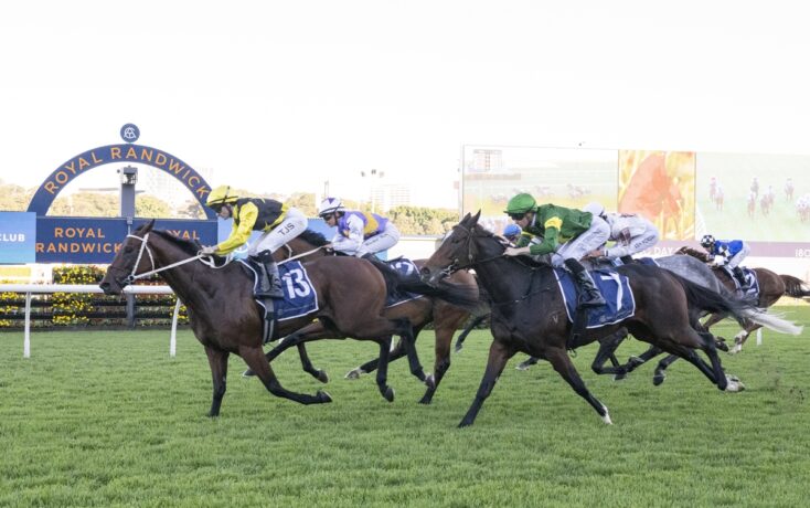Horse race in progress at Royal Randwick stadium; jockeys in colorful silks ride fast on green turf with a blue Royal Randwick sign in the background.