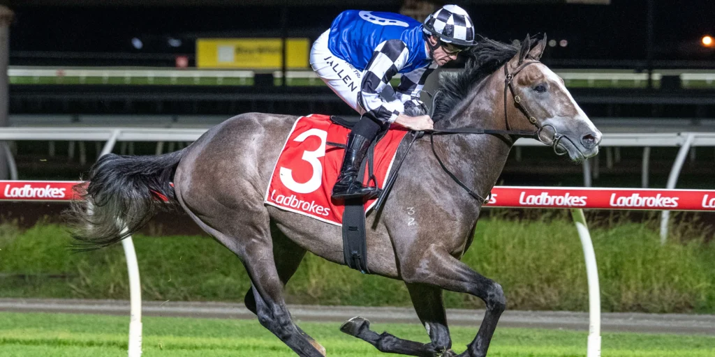 Jockey in blue and white checkered silks leans forward on a gray racehorse with a red saddle cloth bearing the number 3, racing at night with Ladbrokes banners along the rail.