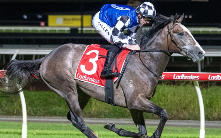 Jockey in blue and white checkered silks leans forward on a gray racehorse with a red saddle cloth bearing the number 3, racing at night with Ladbrokes banners along the rail.
