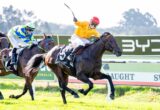 Dark bay horse and jockey in orange silks lead a sprint on a grassy track during a horse race, with competitors close behind and advertising boards in the background.