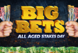 Hands gripping bundles of banknotes frame bold gold text reading 'BIG BETS' with 'ALL AGED STAKES DAY' below, on a dark patterned background (gambling/horse racing theme).