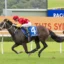 Dark brown racehorse with blue saddlecloth #4, jockey in red and yellow, sprinting on a grass track with white rails; another horse in pursuit nearby.