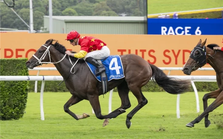 Dark brown racehorse with blue saddlecloth #4, jockey in red and yellow, sprinting on a grass track with white rails; another horse in pursuit nearby.
