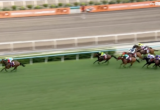 Thoroughbred race on a green turf course; several horses and jockeys in colorful silks sprinting together, lead horse on the left.
