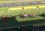 Several horses gallop with jockeys in colorful silks on a green turf racecourse, racing along the track