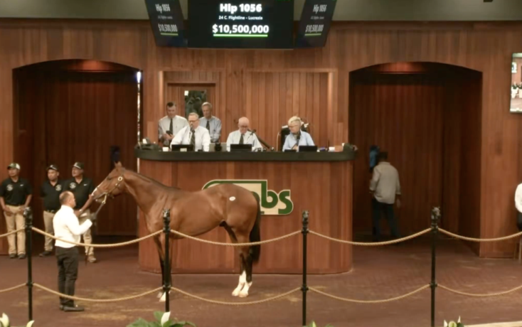 Auction scene: a handler leads a brown horse in a roped ring while bidders and staff watch from a wooden podium and gallery benches.