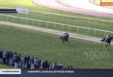 Horse race on a grassy track with three galloping horses and jockeys, railings beside the track, and a crowd watching from the inside fence at left.