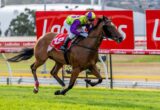 Jockey in purple and lime rides a brown racehorse wearing number 12 on a green turf track with red Ladbrokes banners in the background.