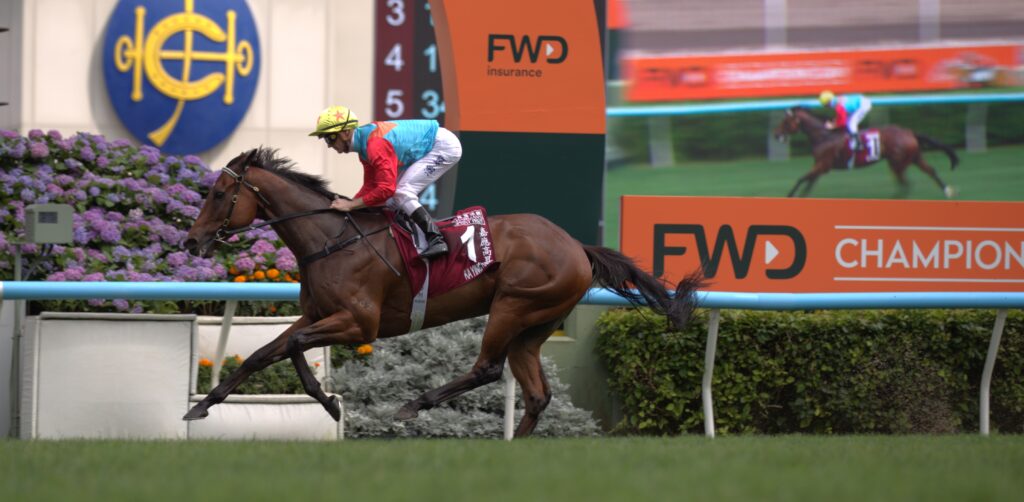 Jockey in bright red and turquoise silks rides a bay horse at a race, close to sponsor boards and a barrier.