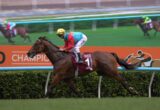 Leading brown horse with jockey in red sleeves and blue vest sprinting along the rail; orange sponsor banner to the side.