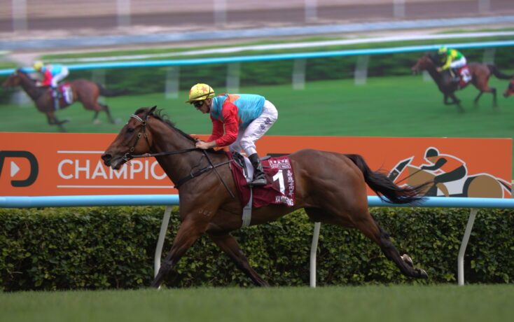 Leading brown horse with jockey in red sleeves and blue vest sprinting along the rail; orange sponsor banner to the side.