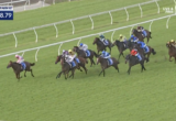Group of Thoroughbred horses racing on a green turf track with jockeys in colorful silks and white rails along the course.