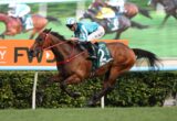 Jockey in teal and white silks on a brown racehorse sprinting past the rail during a race.