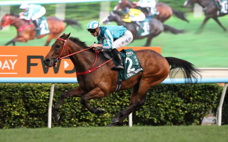 Jockey in teal and white silks on a brown racehorse sprinting past the rail during a race.