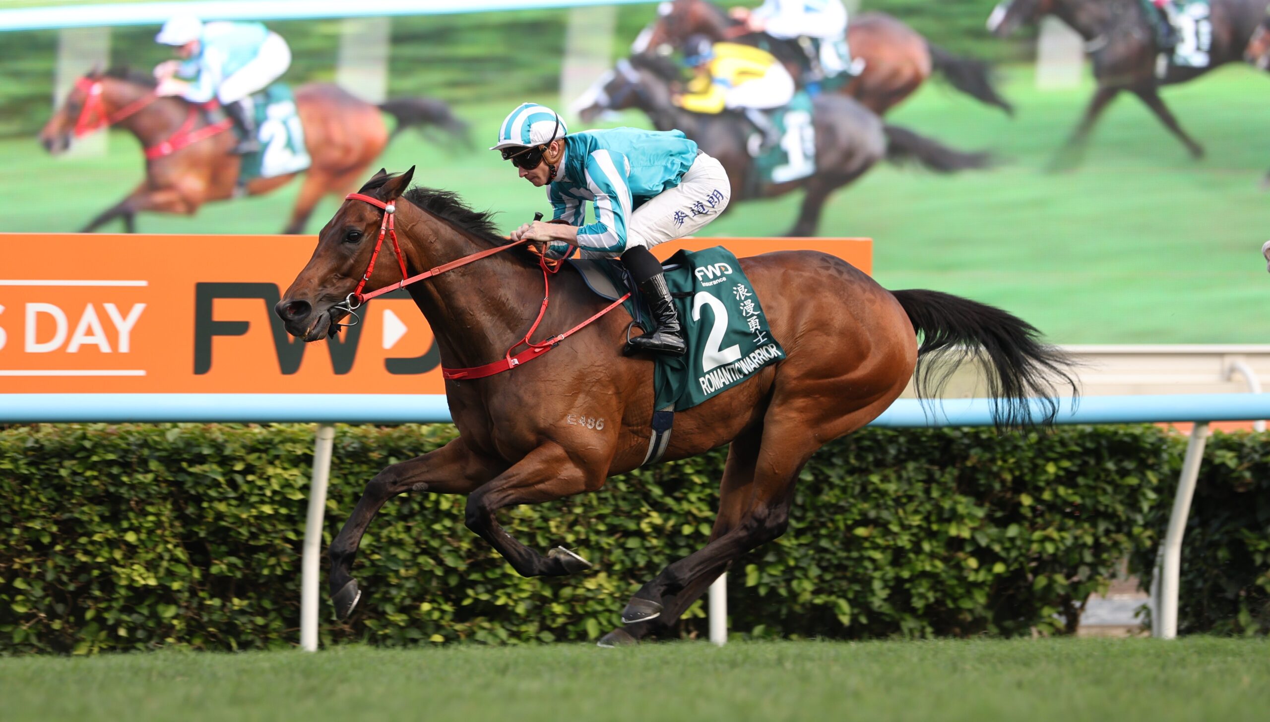 Photo: justhorseracing.com.au Romantic Warrior Retires as Highest-Earning Racehorse After Leg Injury