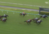 Group of horses racing on a grass horse track with jockeys in colorful silks, chasing the lead near the rail as a race unfolds