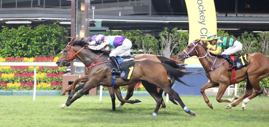 Three jockeys ride galloping horses on a grassy racecourse, colorful silks flying as they race toward the finish line.