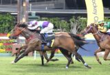 Three jockeys ride galloping horses on a grassy racecourse, colorful silks flying as they race toward the finish line.