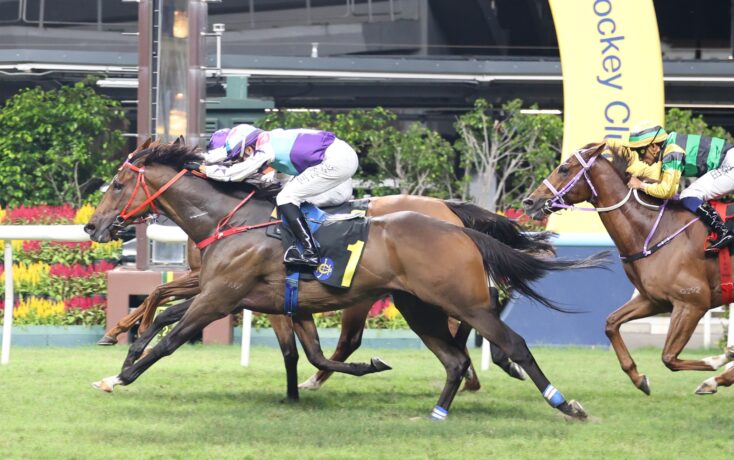 Three jockeys ride galloping horses on a grassy racecourse, colorful silks flying as they race toward the finish line.