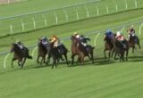 Horse race on a green turf track, jockeys in colorful silks riding fastful horses neck-and-neck along the railings.