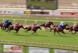 A group of thoroughbred horses sprinting on a green racecourse with jockeys in colorful silks close behind the lead horse.