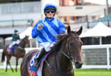 Jockey in blue racing silks on a dark brown horse at a racetrack, raising one finger.