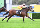 Bay racehorse with white nose guard, saddlecloth 9, gallops on a green turf with a jockey in pink top and yellow pants.