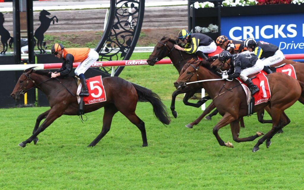 akaysha 3 | Just Horse Racing Lead horse with number 5, orange-helmet jockey, sprints on the green turf amid pursuing rivals.