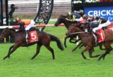 Lead horse with number 5, orange-helmet jockey, sprints on the green turf amid pursuing rivals.