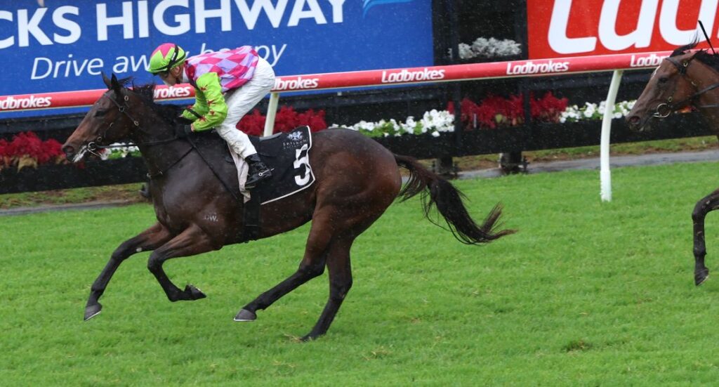 Jockey in bright pink and lime silks rides a dark bay horse (number 3) at a gallop on a green turf track.