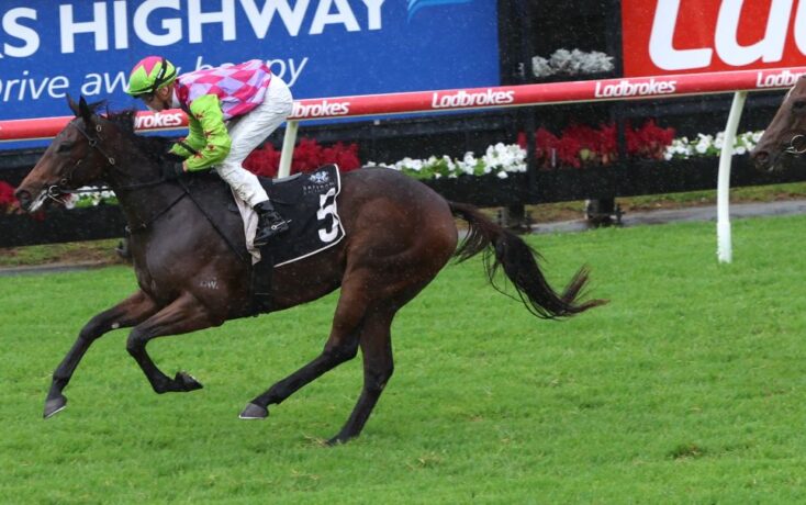 Ken Russell Memorial Classic Field & Odds – 2026 | Just Horse Racing